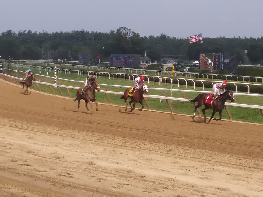 (photo courtesy of Equine Info Exchange Editorial team)